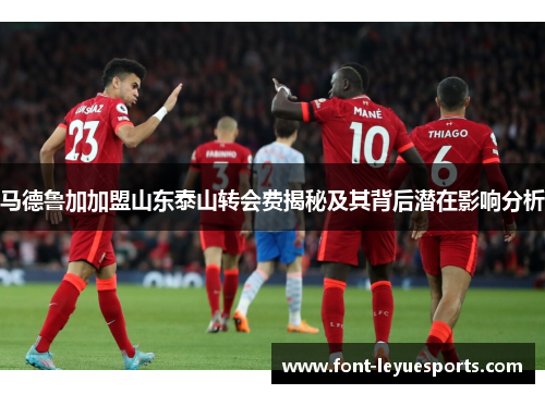 马德鲁加加盟山东泰山转会费揭秘及其背后潜在影响分析
